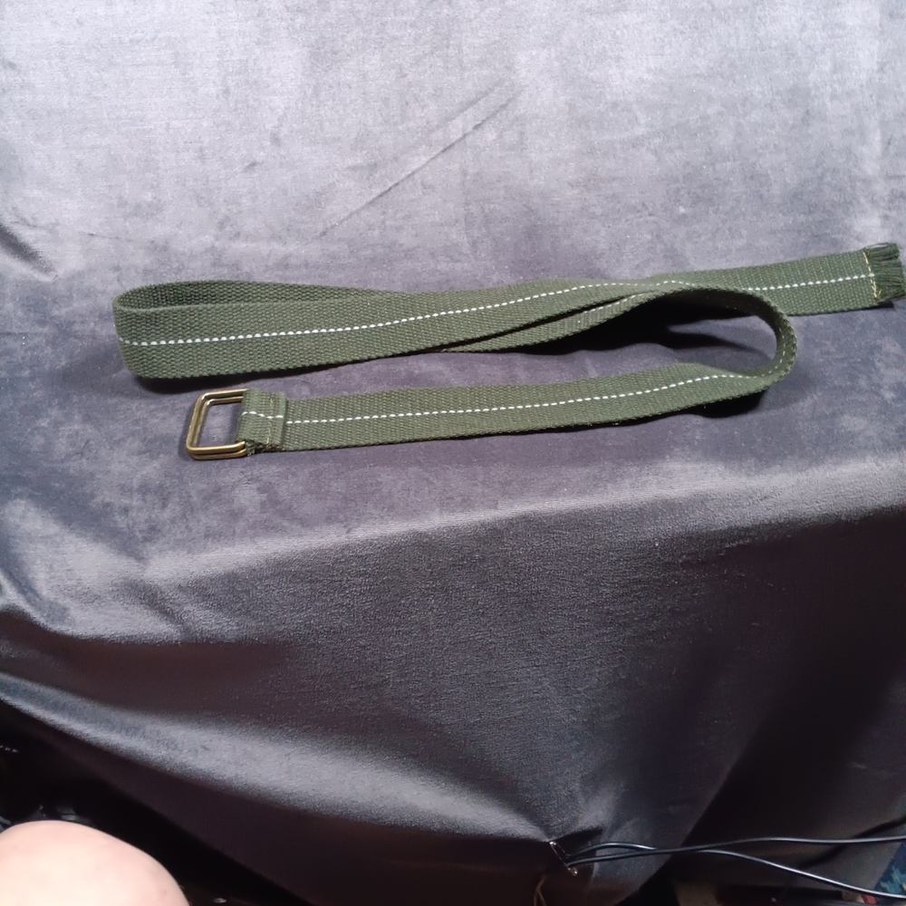 Source Unknown Olive Green Canvas Belt with Brass Buckle